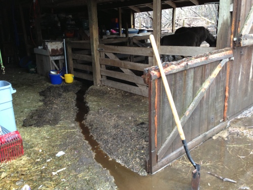 Barn flooded.  Had to dig a trench through the alleyway.