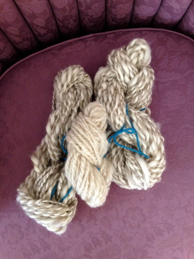 Yarn I spun at a spinning class.  The white yarn is from our sheep.